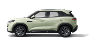 BYD ATTO 2